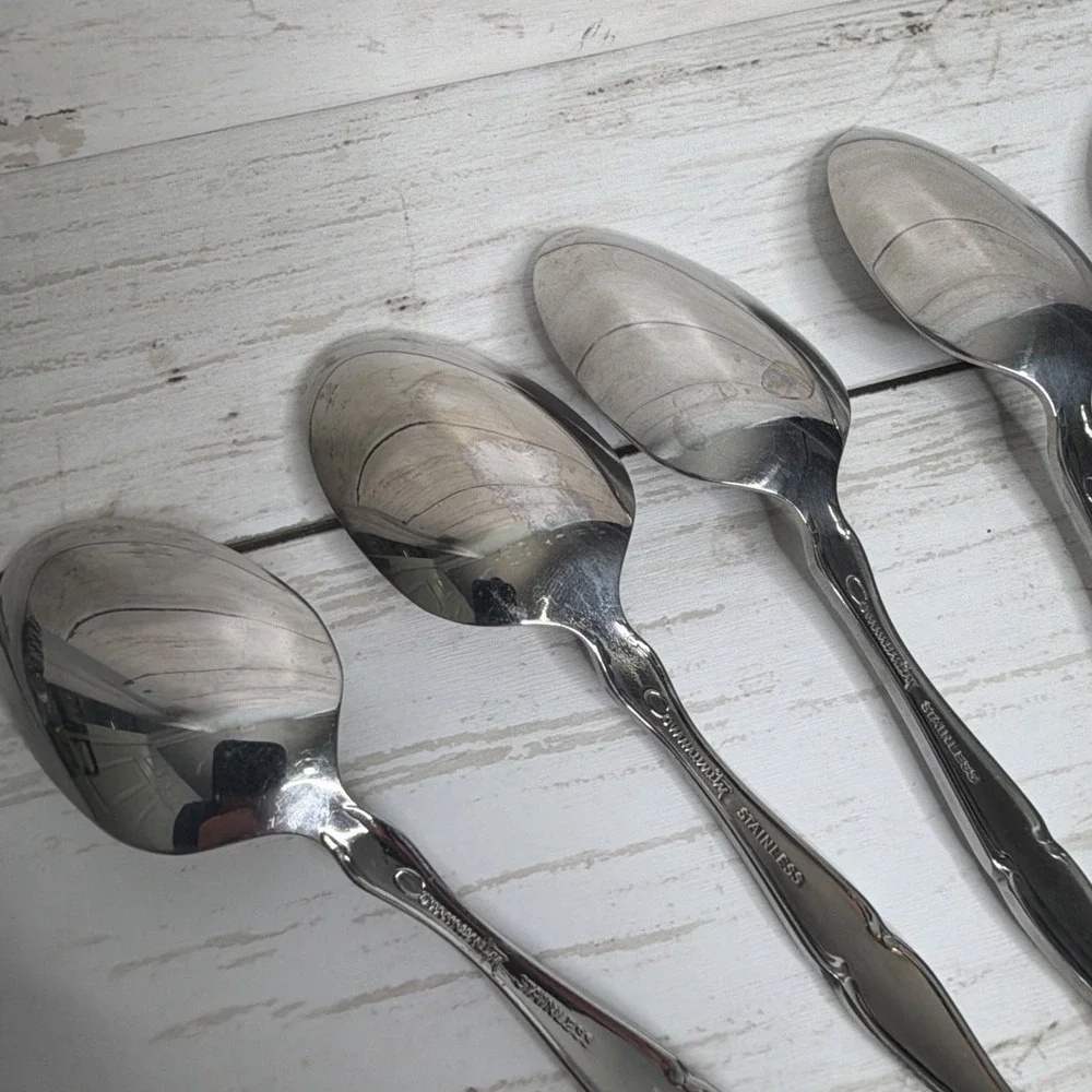 Oneida Community Cantata Stainless Silverware Flatware Spoons Lot 10